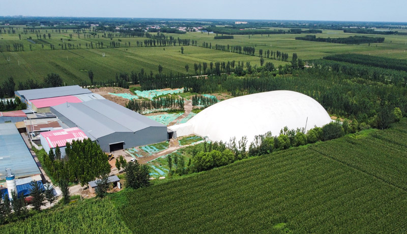 邢台污染土壤处理气膜大棚